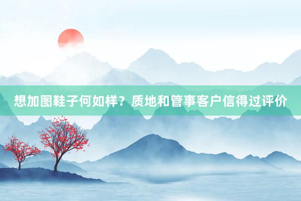想加图鞋子何如样？质地和管事客户信得过评价